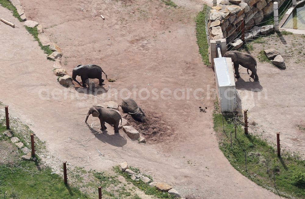 Aerial image Erfurt - Zoo grounds at the Elephant House in the Thueringer Zoopark, Erfurt in Erfurt in the state of Thuringia, Germany