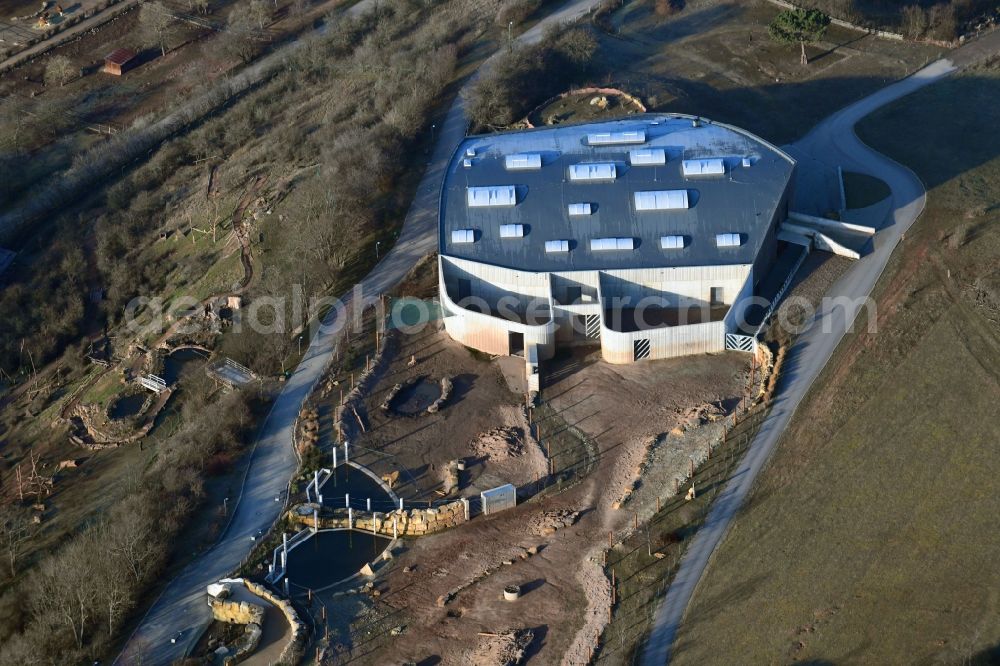 Erfurt from the bird's eye view: Zoo grounds Thueringer Zoopark in Erfurt in the state Thuringia, Germany