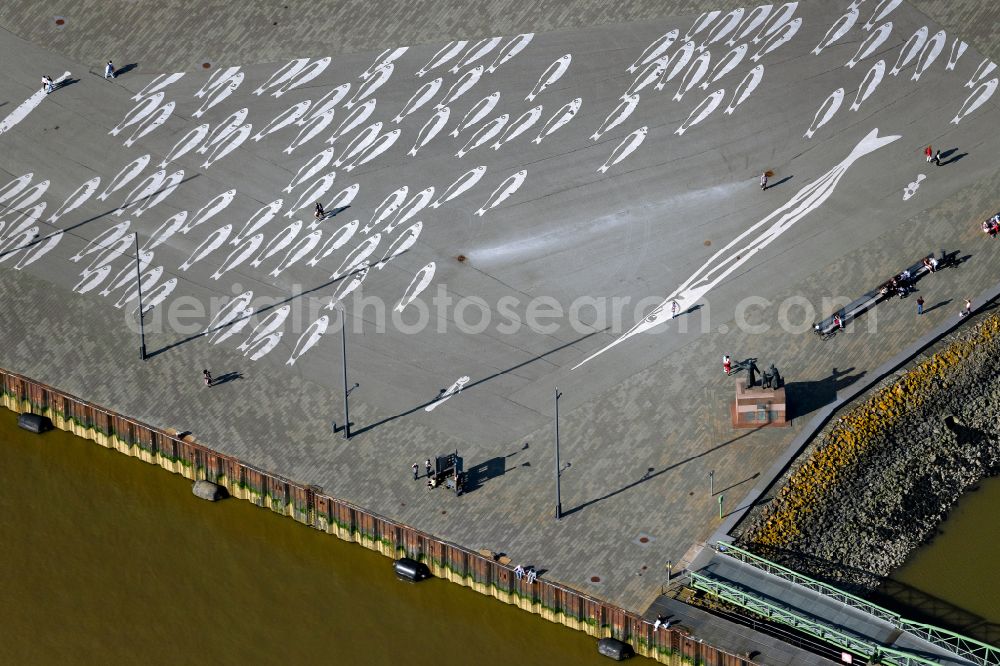 Aerial photograph Bremerhaven - Zoo grounds of the Zoo am Meer Bremerhaven in Bremerhaven in the state Bremen