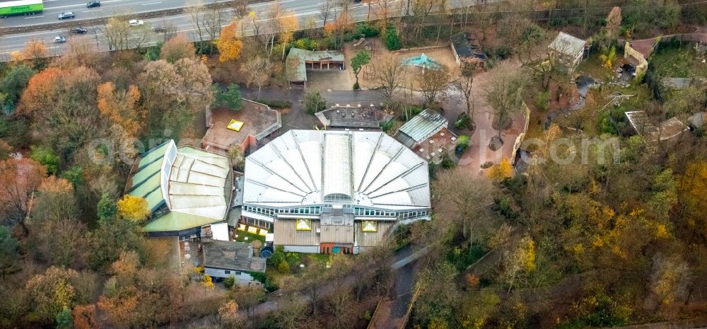 Duisburg from the bird's eye view: Zoo grounds in the Carl Benz street in Duisburg in the state North Rhine-Westphalia