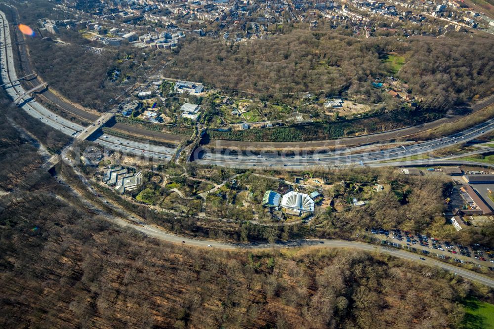 Duisburg from the bird's eye view: Zoo grounds in the Carl Benz street in Duisburg at Ruhrgebiet in the state North Rhine-Westphalia