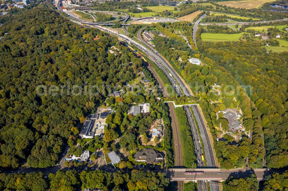 Duisburg from above - Zoo grounds in the Carl Benz street in Duisburg in the state North Rhine-Westphalia