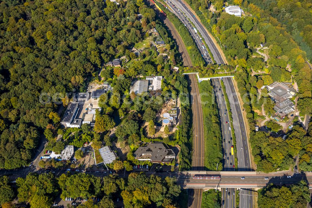 Duisburg from the bird's eye view: Zoo grounds in the Carl Benz street in Duisburg in the state North Rhine-Westphalia