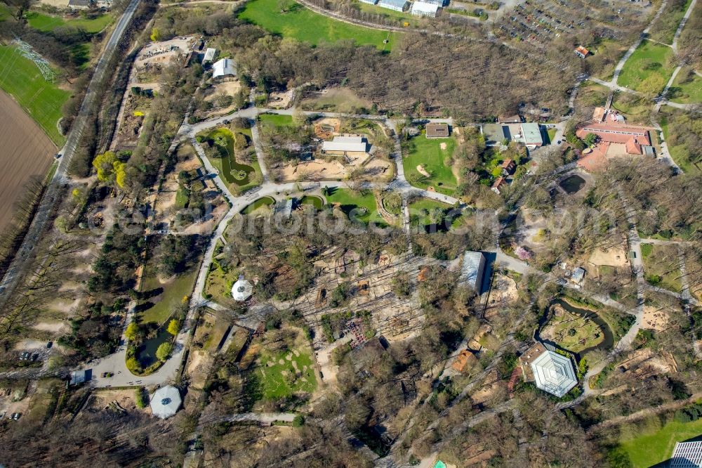 Dortmund from the bird's eye view: Zoo grounds in the district Hombruch in Dortmund in the state North Rhine-Westphalia