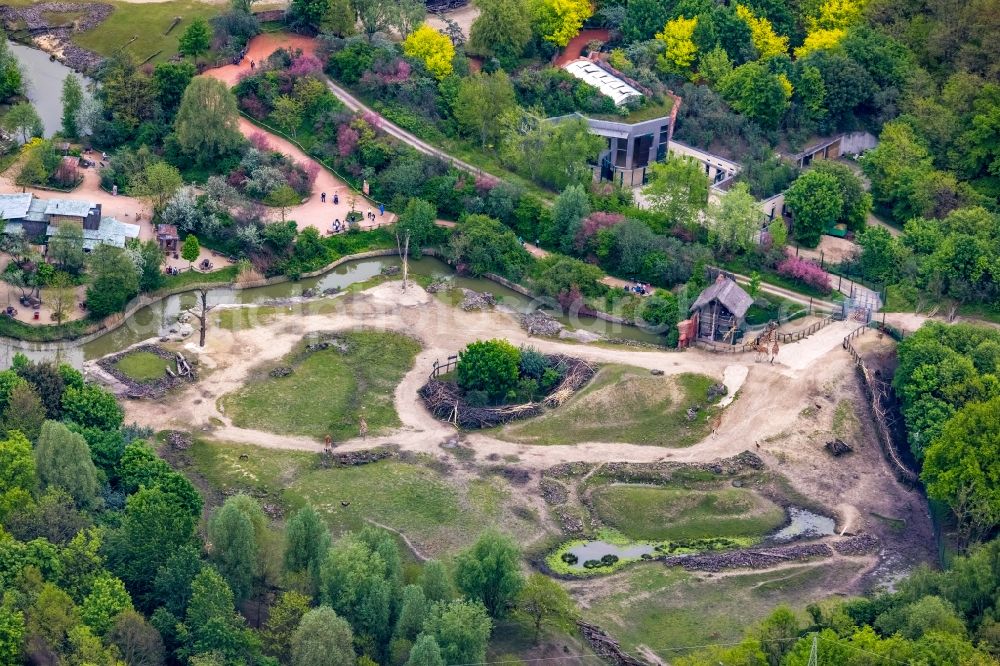 Gelsenkirchen from the bird's eye view: Zoo grounds of ZOOM Erlebniswelt on Bleckstrasse in the district Bismarck in Gelsenkirchen at Ruhrgebiet in the state North Rhine-Westphalia, Germany