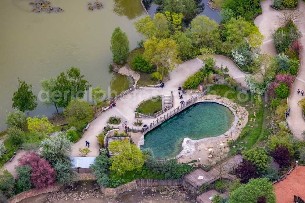 Aerial photograph Gelsenkirchen - Zoo grounds of ZOOM Erlebniswelt on Bleckstrasse in the district Bismarck in Gelsenkirchen at Ruhrgebiet in the state North Rhine-Westphalia, Germany