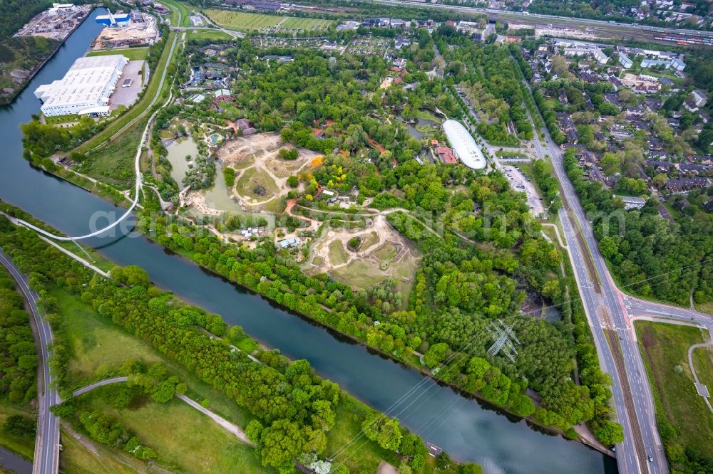 Gelsenkirchen from the bird's eye view: Zoo grounds of ZOOM Erlebniswelt on Bleckstrasse in the district Bismarck in Gelsenkirchen at Ruhrgebiet in the state North Rhine-Westphalia, Germany