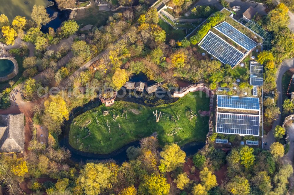 Gelsenkirchen from above - Zoo grounds of ZOOM Erlebniswelt on Bleckstrasse in the district Bismarck in Gelsenkirchen at Ruhrgebiet in the state North Rhine-Westphalia, Germany