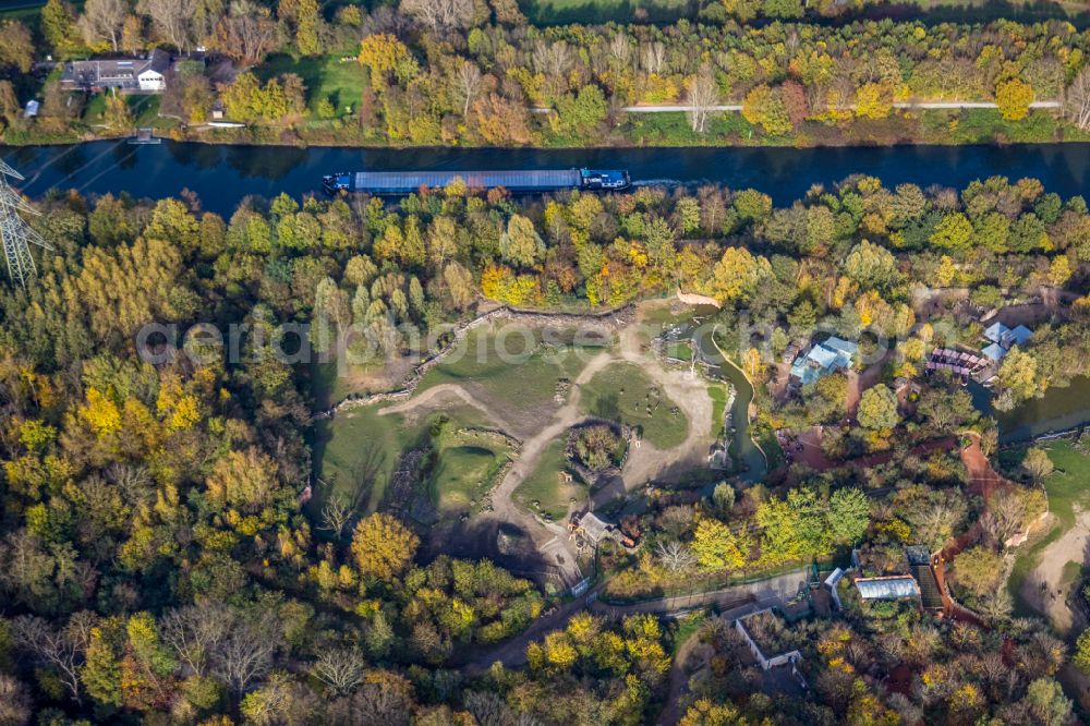 Aerial image Gelsenkirchen - Zoo grounds of ZOOM Erlebniswelt on Bleckstrasse in the district Bismarck in Gelsenkirchen at Ruhrgebiet in the state North Rhine-Westphalia, Germany