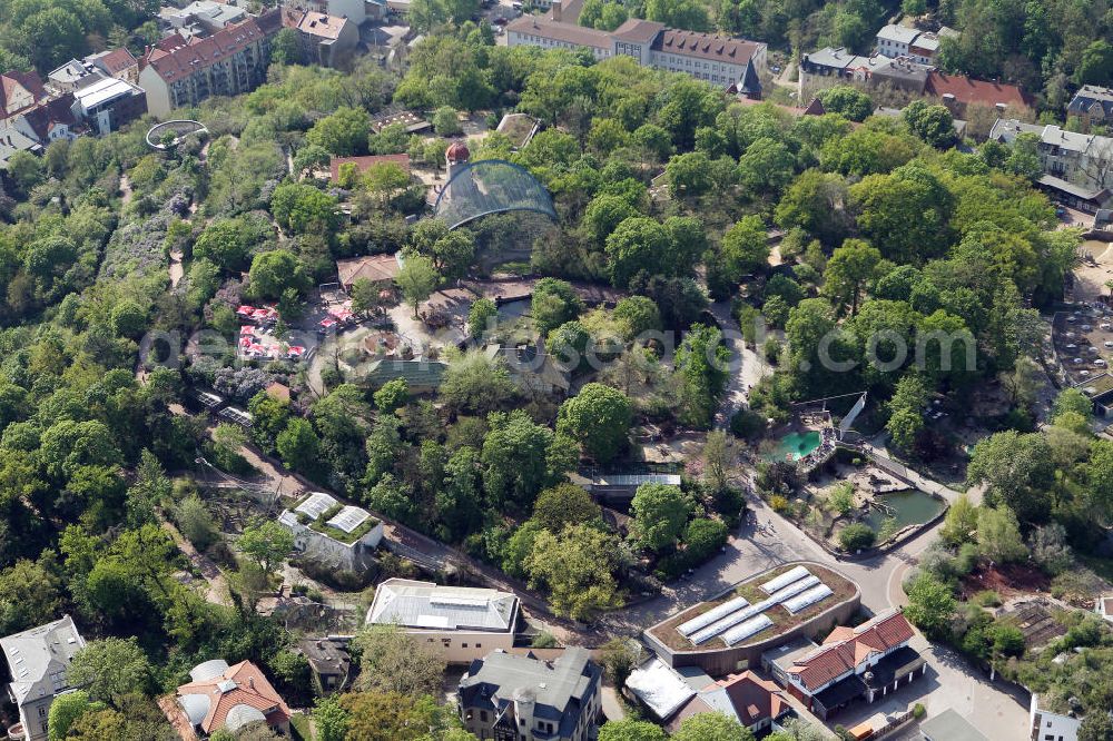 Aerial photograph Halle / Saale - Blick auf das Gelände der Freigehege im Hallenser Zoo. Der Zoologische Garten Halle ist durch seine Lage auf dem Reilsberg und seinen Ausblick über die Tieranlagen, die Stadt und die Umgebung ein beliebter Freizeit- und Besuchermagnet der Saalemetropole. The site of the outdoor enclosure in the zoo in Halle.