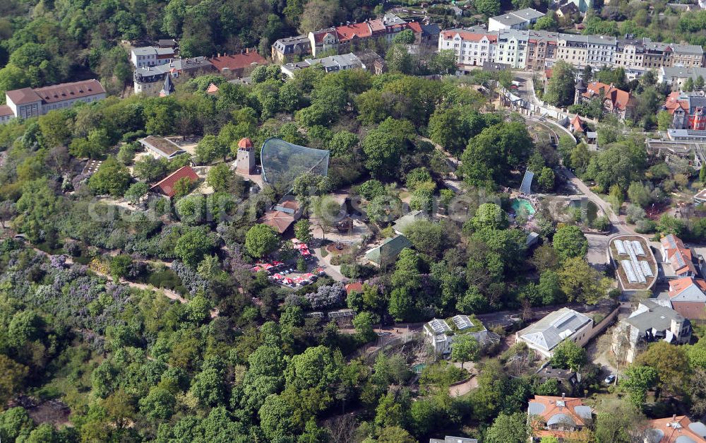 Halle / Saale from above - Blick auf das Gelände der Freigehege im Hallenser Zoo. Der Zoologische Garten Halle ist durch seine Lage auf dem Reilsberg und seinen Ausblick über die Tieranlagen, die Stadt und die Umgebung ein beliebter Freizeit- und Besuchermagnet der Saalemetropole. The site of the outdoor enclosure in the zoo in Halle.