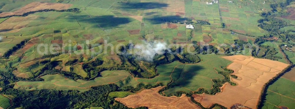 Mauritius from above - Blick auf Zuckerrohrfelder im Landesinneren von Mauritius. View to sugar cane fields in the heartland of Mauritius.