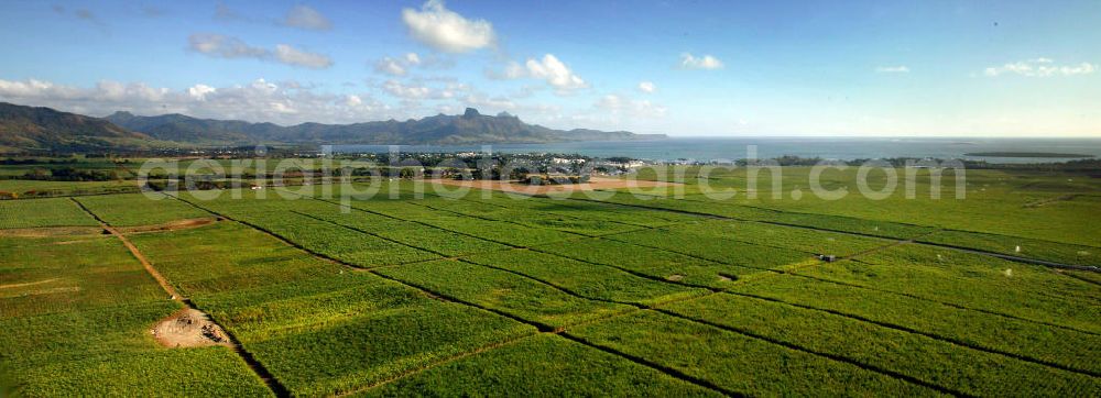 Aerial image Mauritius - Blick auf Zuckerrohrfelder, die Stadt Mahebourg und den Mont Lion in Mauritius. View to sugar cane fields, the city Mahebourg and the Mont Lion in Mauritius.