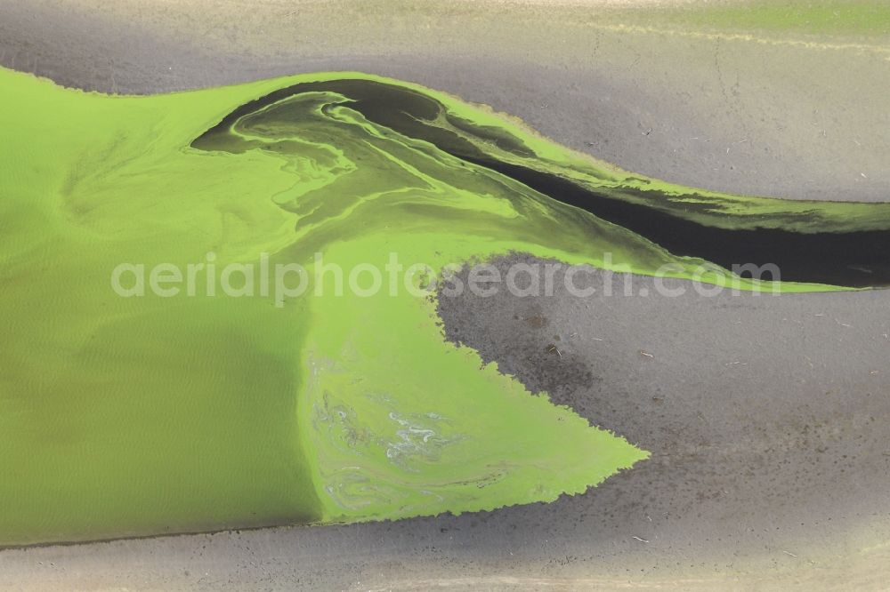 Liebenstein from above - Waterfront landscape with blue-green algae bloom in the inflow of the Waldnaab of the Liebenstein reservoir in Liebenstein in Ploessberg in the state Bavaria, Germany