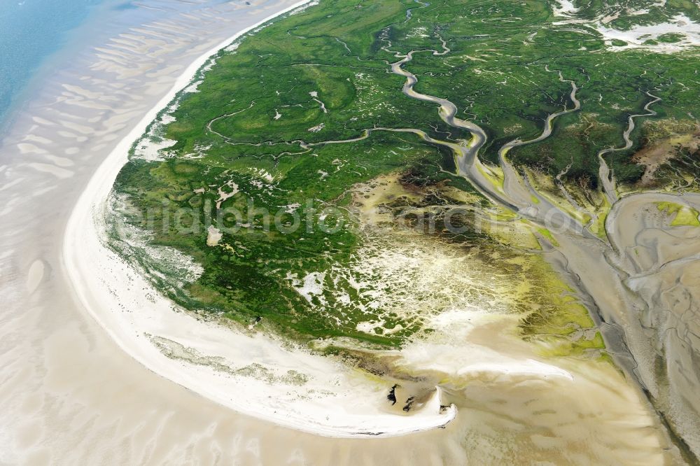 Juist from the bird's eye view: Curved loops of several converging rivers flowing into the Wadden Sea on the green environmentally protected North Sea island Memmert in Juist in the state Lower Saxony