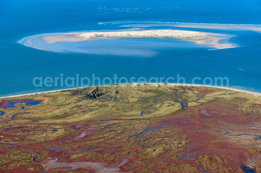 Juist from above - Curved loops of several converging rivers flowing into the Wadden Sea on the green environmentally protected North Sea island Memmert in Juist and the sandbank Kachelotplate in the state Lower Saxony