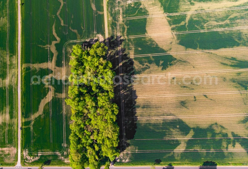 Vertical aerial photograph Küstriner Vorland - Vertical aerial view from the satellite perspective of the field with sichtbarem ehemaligen Bachverlauf Auswaschung in Kuestriner Vorland in the state Brandenburg, Germany