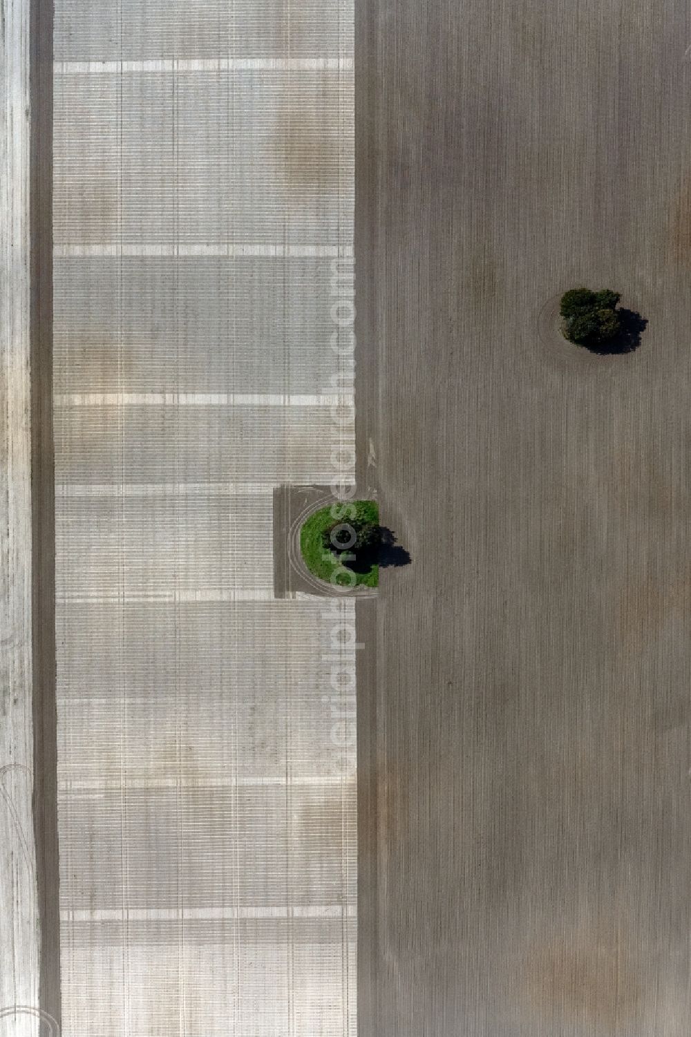 Vertical aerial photograph Insel Poel - Vertical aerial view from the satellite perspective of the island of trees in a worked and plowed up field in island Insel Poel in the state Mecklenburg - Western Pomerania, Germany