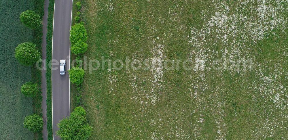 Vertical aerial photograph Jacobsdorf - Vertical aerial view from the satellite perspective of the row of trees in a field edge in Jacobsdorf in the state Brandenburg, Germany