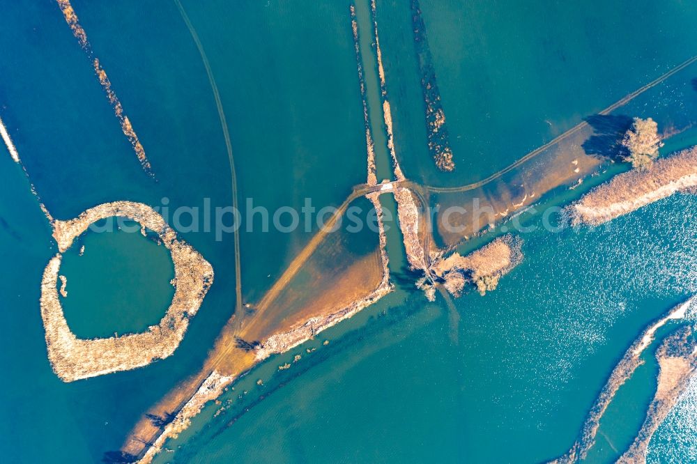 Vertical aerial photograph Schwedt/Oder - Vertical aerial view from the satellite perspective of the riparian areas and flooded flood meadows due to a river bed leading to flood levels of Oder in Schwedt/Oder in the Uckermark in the state Brandenburg, Germany