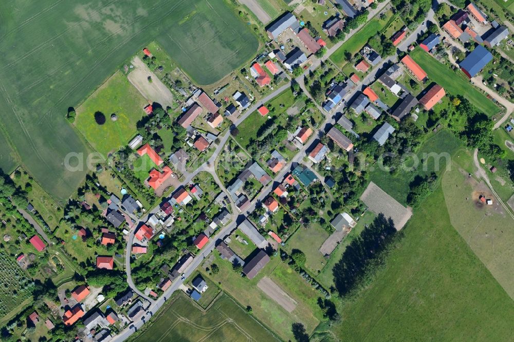 Vertical aerial photograph Danewitz - Vertical aerial view from the satellite perspective of the village view in Danewitz in the state Brandenburg, Germany