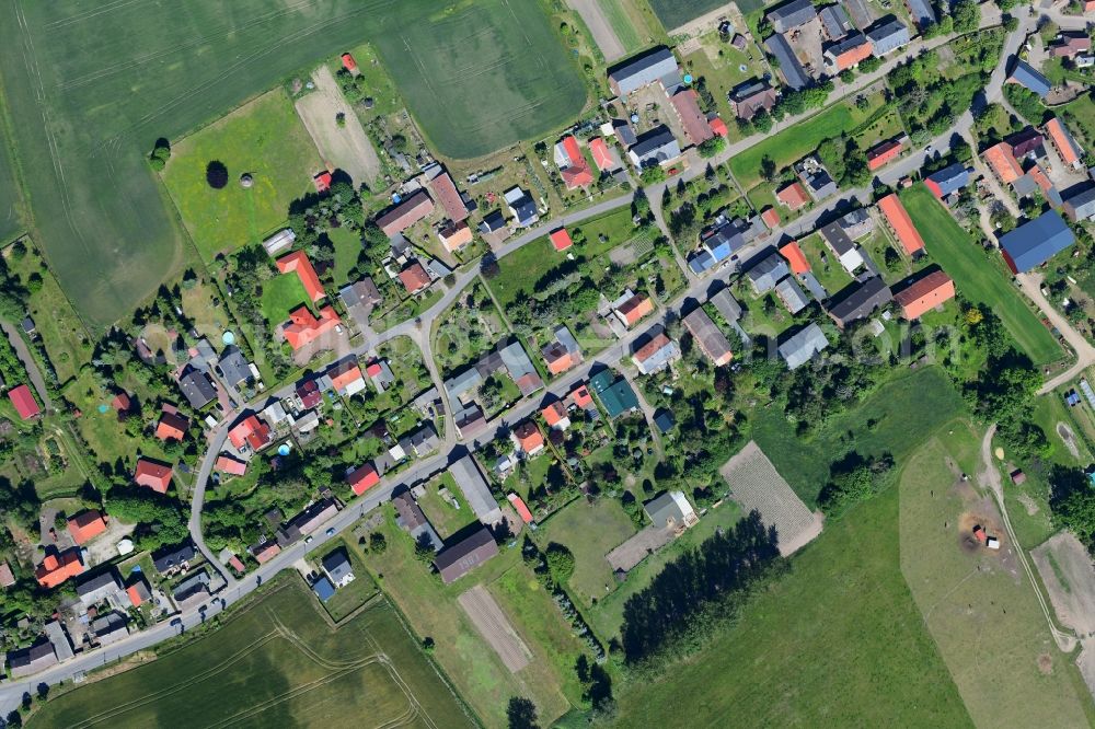 Vertical aerial photograph Danewitz - Vertical aerial view from the satellite perspective of the village view in Danewitz in the state Brandenburg, Germany