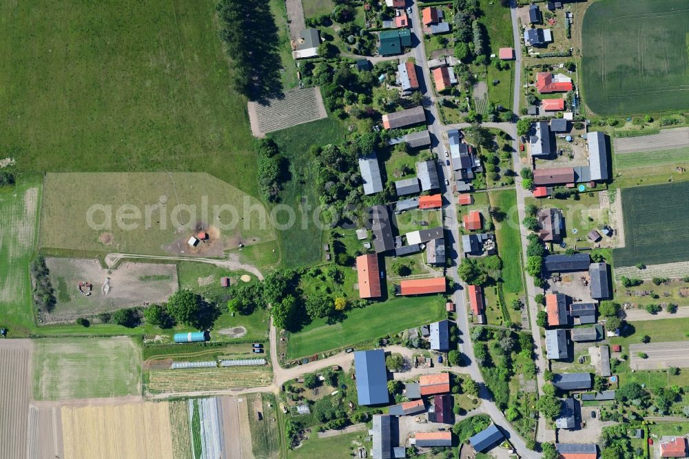 Vertical aerial photograph Danewitz - Vertical aerial view from the satellite perspective of the village view in Danewitz in the state Brandenburg, Germany