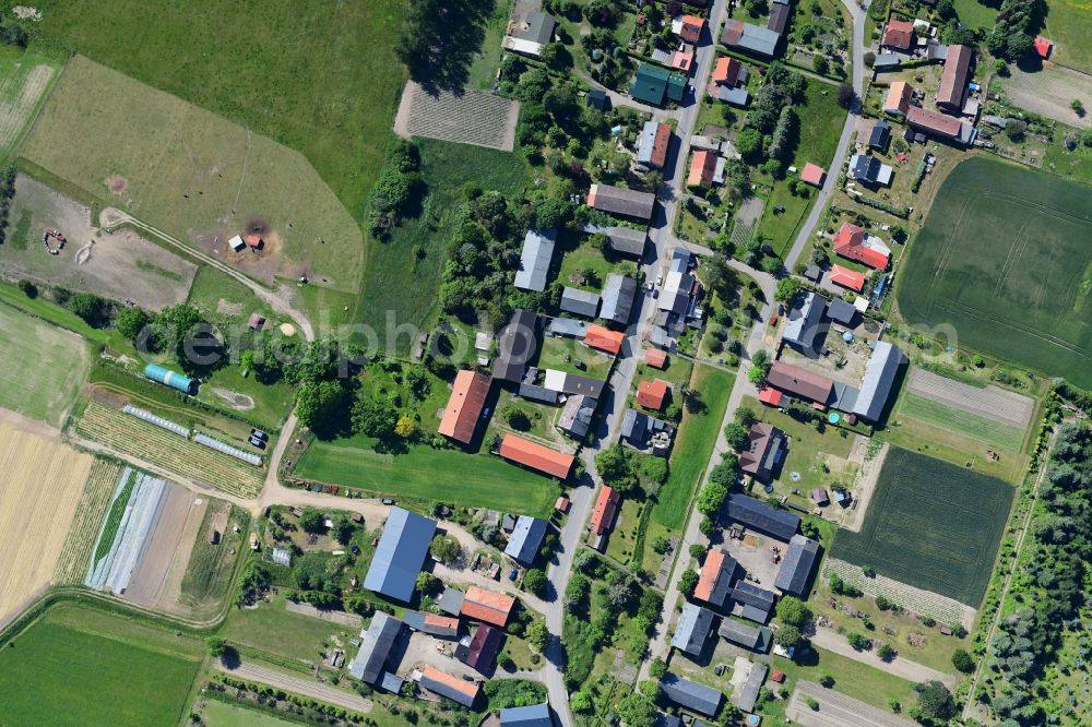 Vertical aerial photograph Danewitz - Vertical aerial view from the satellite perspective of the village view in Danewitz in the state Brandenburg, Germany