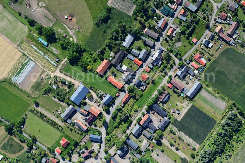 Vertical aerial photograph Danewitz - Vertical aerial view from the satellite perspective of the village view in Danewitz in the state Brandenburg, Germany