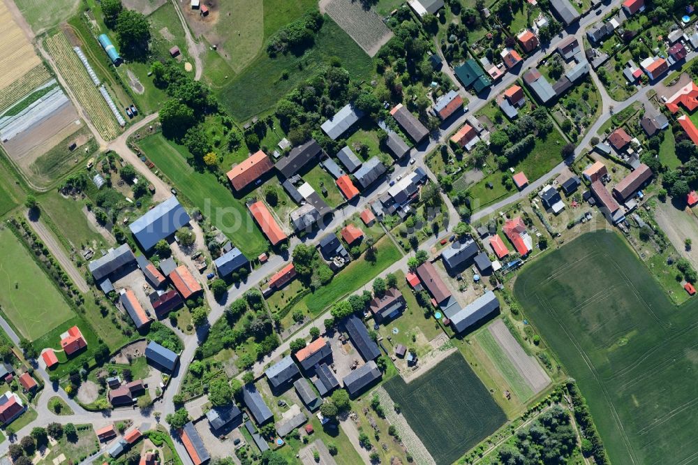 Vertical aerial photograph Danewitz - Vertical aerial view from the satellite perspective of the village view in Danewitz in the state Brandenburg, Germany