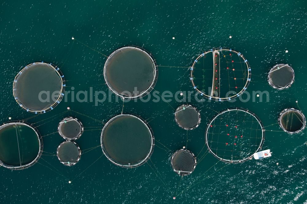 Vertical aerial photograph Andratx - Vertical aerial view from the satellite perspective of the industrial fish farming in the district Port Andfratx in Andratx in Balearic Islands, Mallorca, Spain