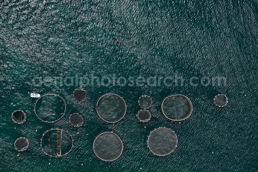 Vertical aerial photograph Andratx - Vertical aerial view from the satellite perspective of the industrial fish farming in the district Port Andfratx in Andratx in Balearic Islands, Mallorca, Spain