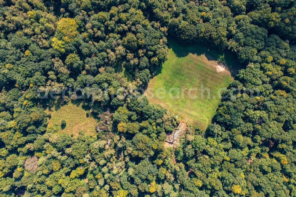 Vertical aerial photograph Schorfheide - Vertical aerial view from the satellite perspective of the forest areas in the Schorfheide in Schorfheide at Schorfheide in the state Brandenburg, Germany