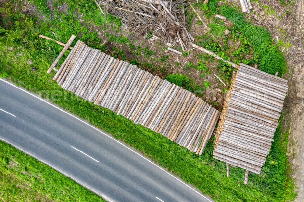 Vertical aerial photograph Odenthal - Vertical aerial view from the satellite perspective of the felled tree trunks in a forest area in Odenthal in the state North Rhine-Westphalia, Germany