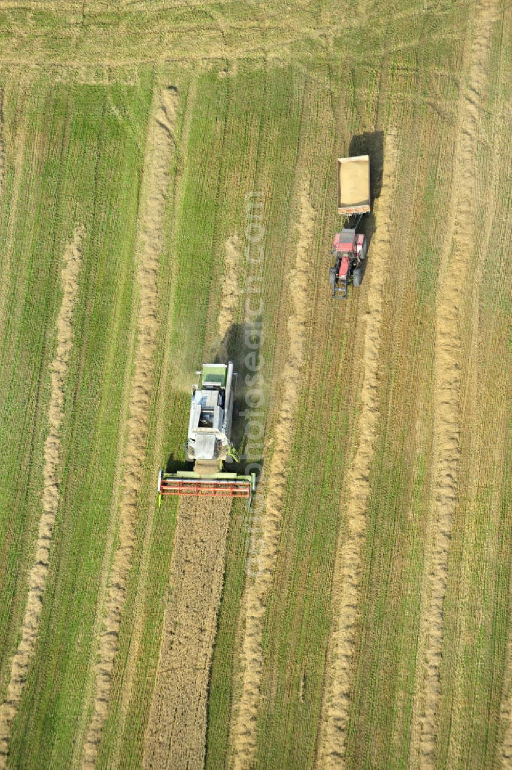 Vertical aerial photograph Görkwitz - Senkrechtluftbild der Getreideernte auf einem Feld bei Görkwitz, nördlich von Schleiz, in Thüringen. Eingesetzt werden Mähdrescher des internationalen Landmaschinenkonzerns Claas KGaA mbH. Upright aerial image of corn crop on a field near village Görkwitz, located north of city Schleiz, in federal state Thuringia. The combine harvesters used are a product of international agricultural engines concern Claas KGaA mbH.