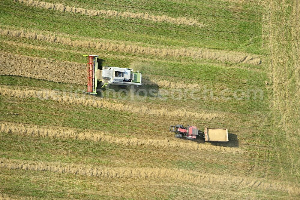 Vertical aerial photograph Görkwitz - Senkrechtluftbild der Getreideernte auf einem Feld bei Görkwitz, nördlich von Schleiz, in Thüringen. Eingesetzt werden Mähdrescher des internationalen Landmaschinenkonzerns Claas KGaA mbH. Upright aerial image of corn crop on a field near village Görkwitz, located north of city Schleiz, in federal state Thuringia. The combine harvesters used are a product of international agricultural engines concern Claas KGaA mbH.