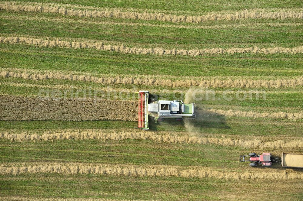 Vertical aerial photograph Görkwitz - Senkrechtluftbild der Getreideernte auf einem Feld bei Görkwitz, nördlich von Schleiz, in Thüringen. Eingesetzt werden Mähdrescher des internationalen Landmaschinenkonzerns Claas KGaA mbH. Upright aerial image of corn crop on a field near village Görkwitz, located north of city Schleiz, in federal state Thuringia. The combine harvesters used are a product of international agricultural engines concern Claas KGaA mbH.