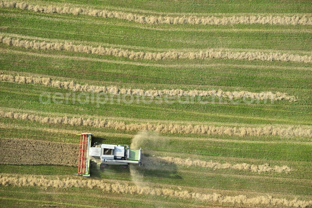 Vertical aerial photograph Görkwitz - Senkrechtluftbild der Getreideernte auf einem Feld bei Görkwitz, nördlich von Schleiz, in Thüringen. Eingesetzt werden Mähdrescher des internationalen Landmaschinenkonzerns Claas KGaA mbH. Upright aerial image of corn crop on a field near village Görkwitz, located north of city Schleiz, in federal state Thuringia. The combine harvesters used are a product of international agricultural engines concern Claas KGaA mbH.