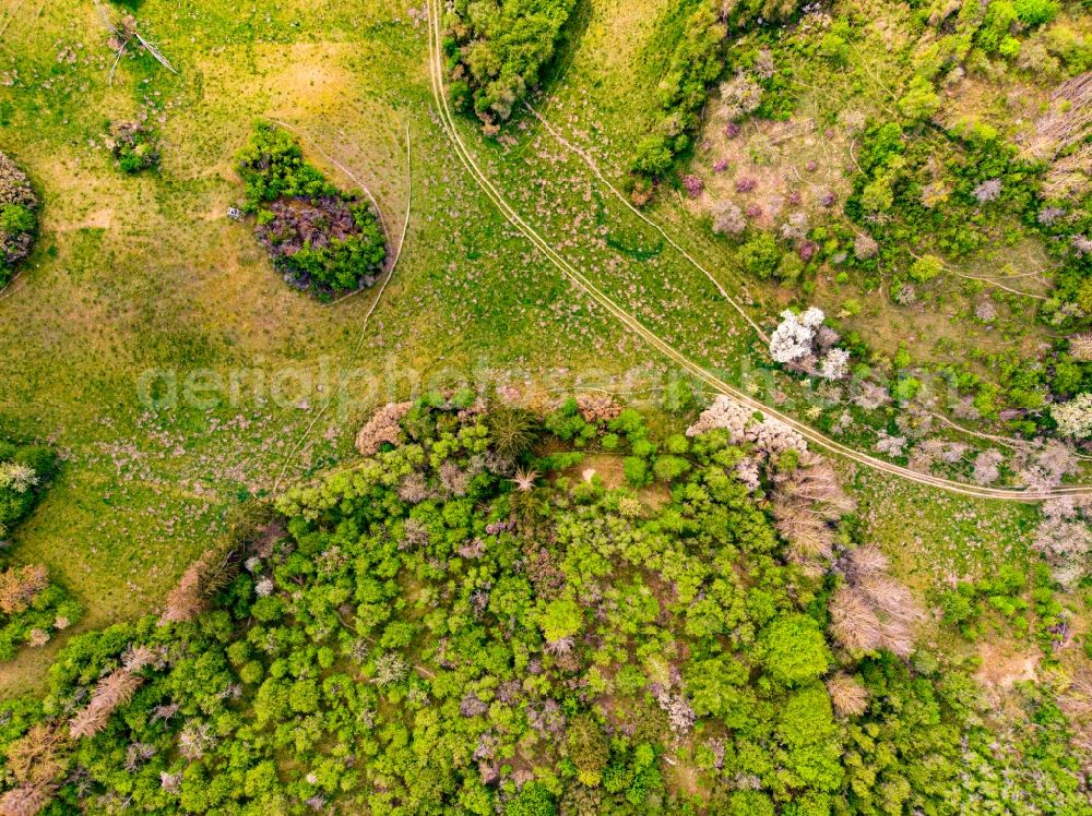 Vertical aerial photograph Falkenberg - Vertical aerial view from the satellite perspective of the structures of a field landscape in Falkenberg in the state Brandenburg, Germany