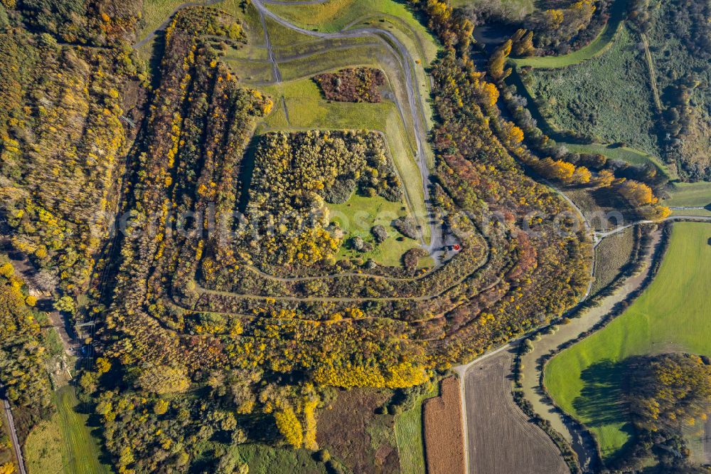 Vertical aerial photograph Hamm - Vertical aerial view from the satellite perspective of the autumnal discolored vegetation view reclamation site of the former mining dump in Hamm at Ruhrgebiet in the state North Rhine-Westphalia