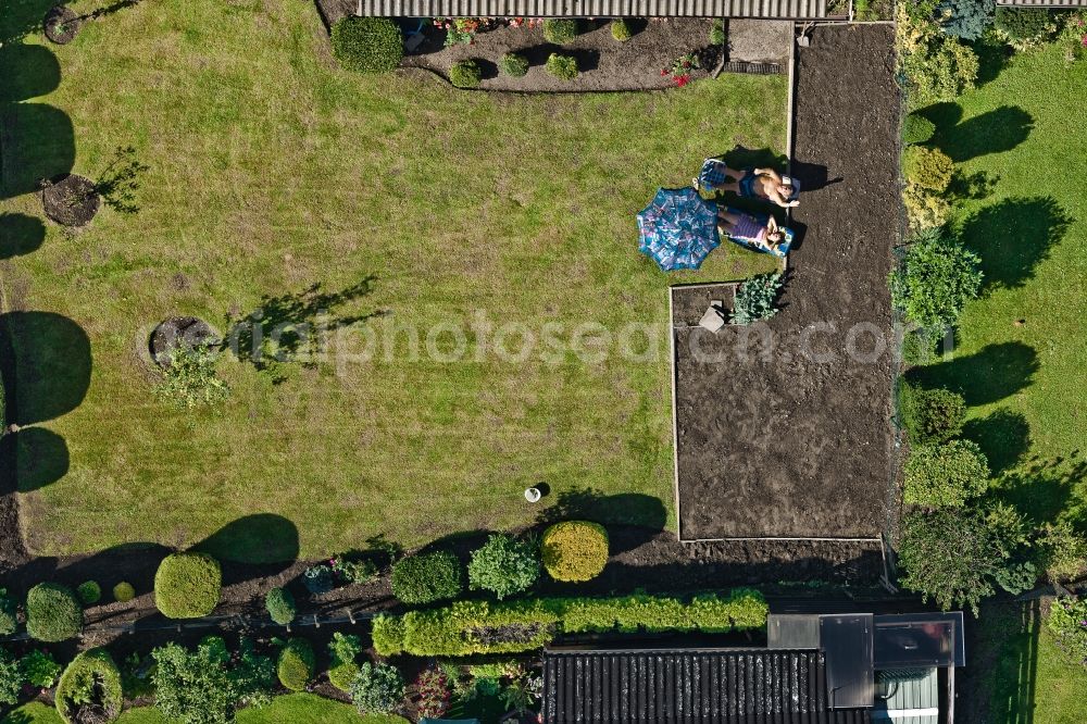 Vertical aerial photograph Köln - Vertical aerial view from the satellite perspective of a garden colony in the district Hoenningen in Cologne in the state North Rhine-Westphalia, Germany