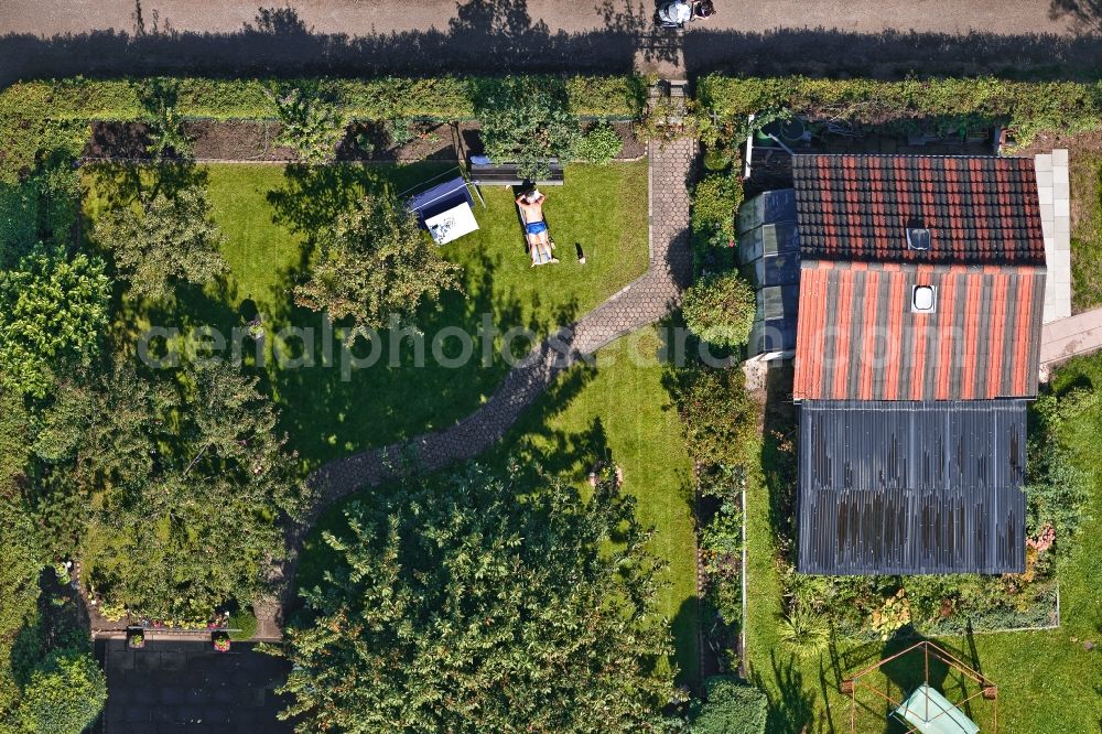 Vertical aerial photograph Köln - Vertical aerial view from the satellite perspective of a garden colony in the district Hoenningen in Cologne in the state North Rhine-Westphalia, Germany