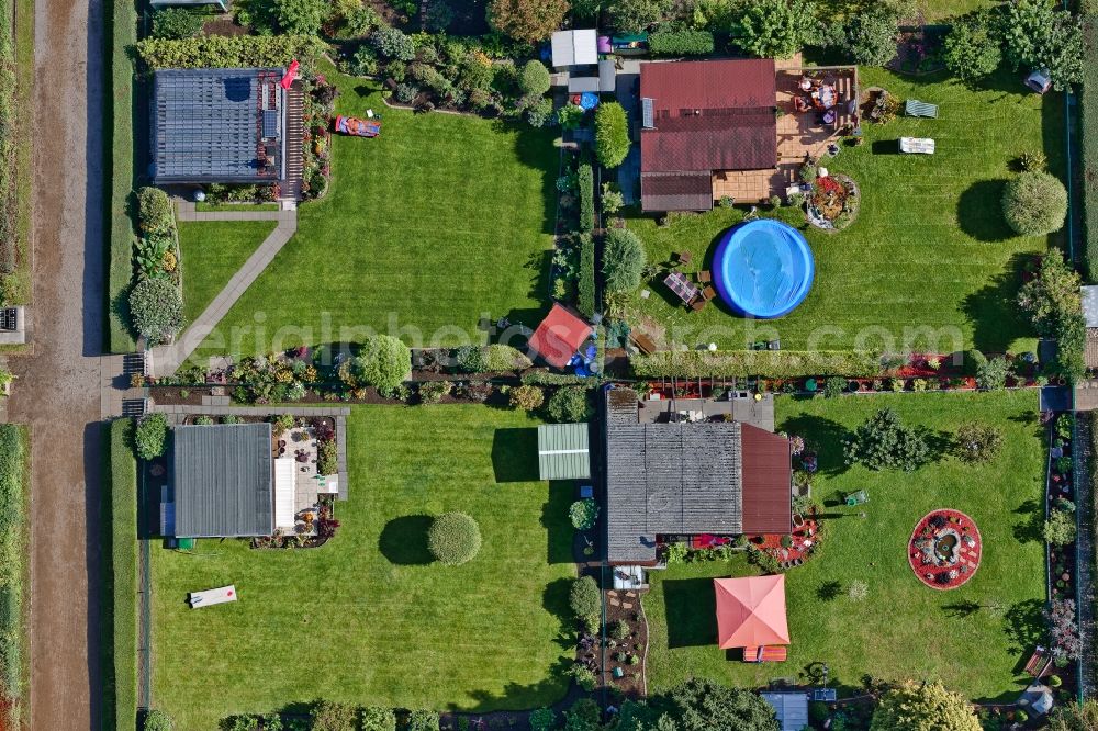 Vertical aerial photograph Köln - Vertical aerial view from the satellite perspective of a garden colony in the district Hoenningen in Cologne in the state North Rhine-Westphalia, Germany