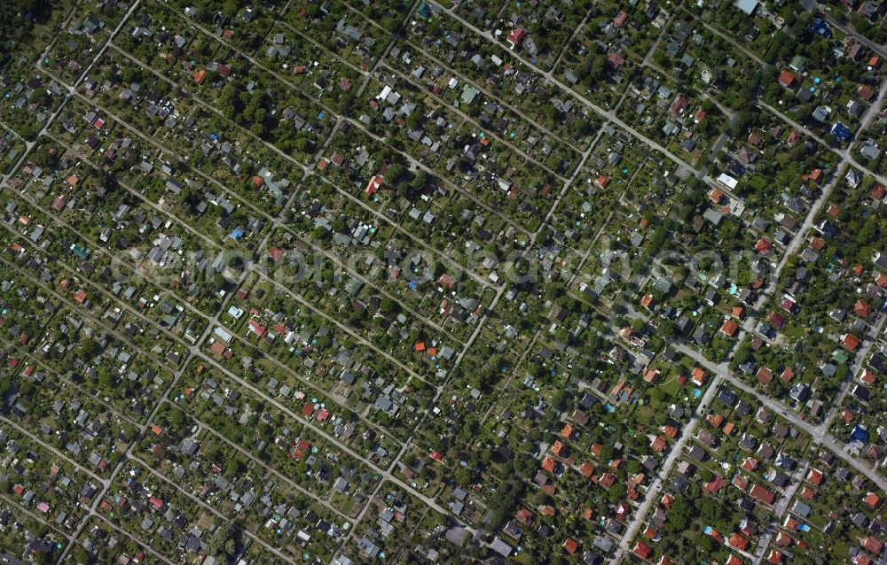 Vertical aerial photograph Berlin Schöneweide - Vertical shot of allotment-settlement on the Joachimstalerstrasse road on Königsheideweg in Schoeneweide in Berlin