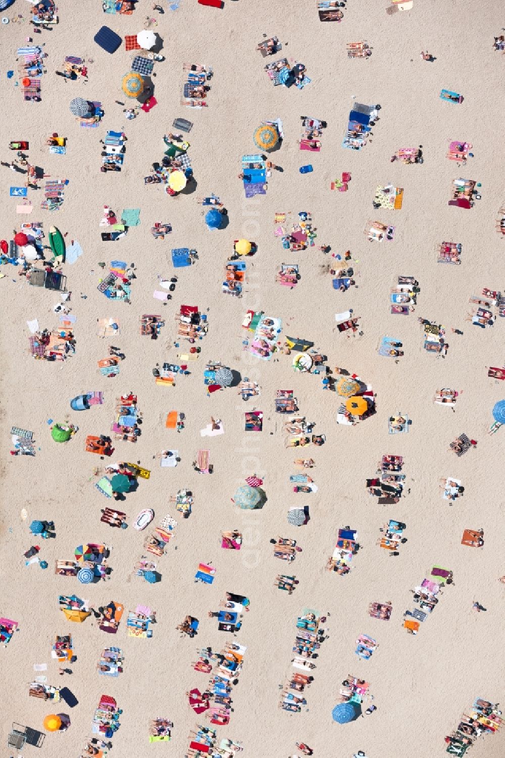 Vertical aerial photograph Erftstadt - Vertical aerial view from the satellite perspective of the Mass influx of bathers on the beach and the shore areas of the lake Liblarer See in Erftstadt in the state North Rhine-Westphalia, Germany