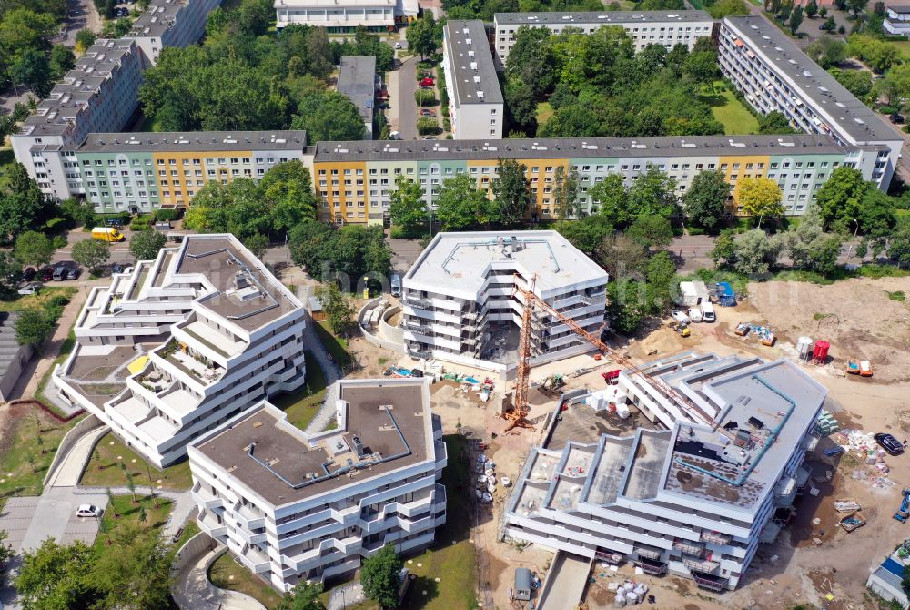 Vertical aerial photograph Halle (Saale) - Vertical aerial view from the satellite perspective of the construction site to build a new multi-family residential complex on Begonienstrasse - Muldestrasse in the district Noerdliche Neustadt in Halle (Saale) in the state Saxony-Anhalt, Germany