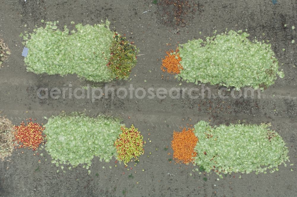 Vertical aerial photograph Rodenkirchen - Vertical aerial view from the satellite perspective of fruit and vegetables are being tipped back to the field for destruction in Rodenkirchen in the state North Rhine-Westphalia, Germany