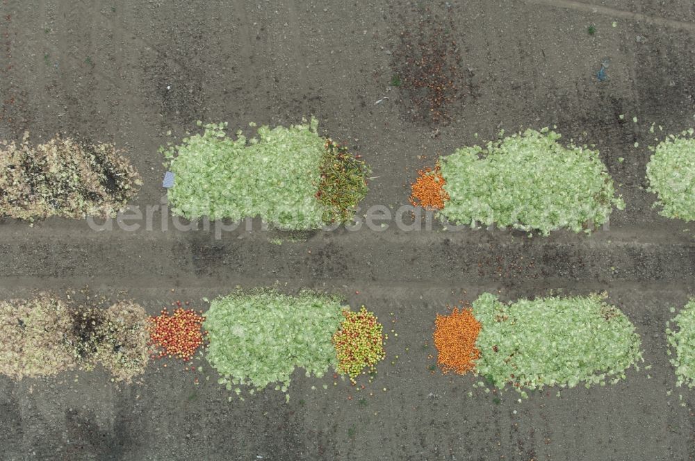 Vertical aerial photograph Rodenkirchen - Vertical aerial view from the satellite perspective of fruit and vegetables are being tipped back to the field for destruction in Rodenkirchen in the state North Rhine-Westphalia, Germany