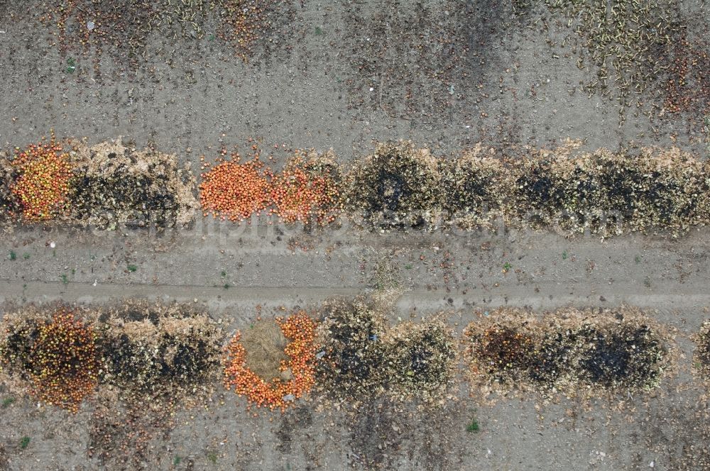 Vertical aerial photograph Rodenkirchen - Vertical aerial view from the satellite perspective of fruit and vegetables are being tipped back to the field for destruction in Rodenkirchen in the state North Rhine-Westphalia, Germany