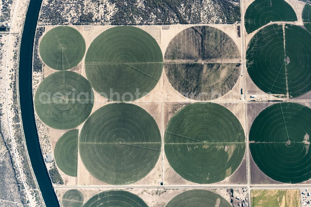 Vertical aerial photograph Mohave Valley - Vertical aerial view from the satellite perspective of the circular round arch of a pivot irrigation system on agricultural fields in Mohave Valley in Arizona, United States of America